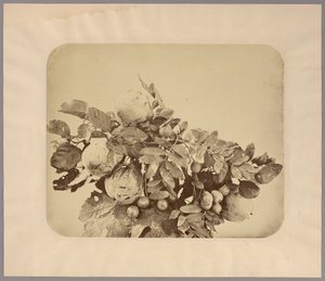 Still Life with Quinces and Berries by Adolphe Braun