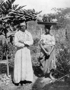 Fruit sellers, Jamaica, c1905