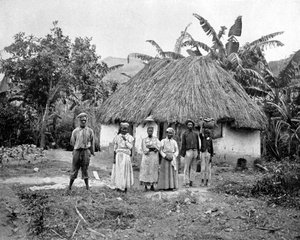 Negro hut, Jamaica, c. 1905