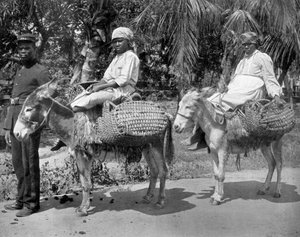 Off to the Jail, Jamaica, c1905 by Adolphe Duperly and Son