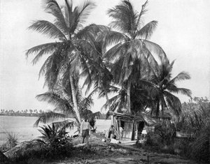 On the road to Blue Hole, Port Antonio, Jamaica