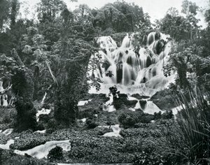 Roaring River Falls, Jamaica