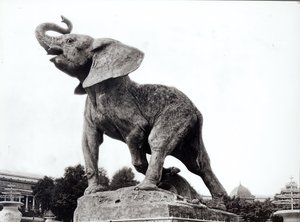 Young Elephant Caught in a Trap, 1878, in front of the Trocadero Palace, Paris, 1888 by Adolphe Giraudon