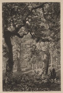 In the Woods by Adolphe Théodore Jules Martial Potémont
