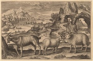 A Goat, a Ewe, and a Ram by Adriaen Collaert