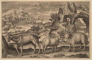 A Goat, a Ewe, and a Ram by Adriaen Collaert