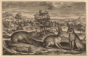 A Mole, a Badger, a Horned Hare and a Fox by Adriaen Collaert