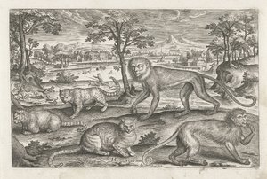 Monkeys and Cats (Four-legged Animals) by Adriaen Collaert