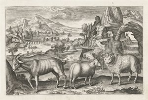 Goat and Sheep (Four-Legged Animals) by Adriaen Collaert