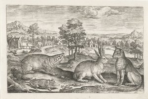 Forest Animals by Adriaen Collaert