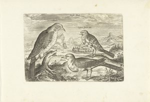 Three Birds in a Landscape