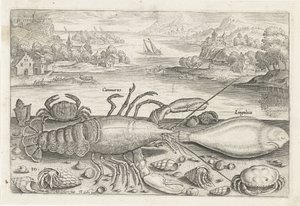 A Fish and Some Shellfish on the Beach