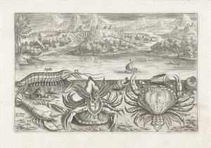 Some Shellfish on the Beach (series title) Piscivm vivae icones (series title) by Adriaen Collaert
