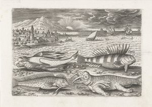 Some Fish and a Walrus on the Beach by Adriaen Collaert