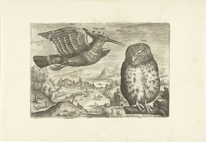 Several Birds in a Landscape by Adriaen Collaert