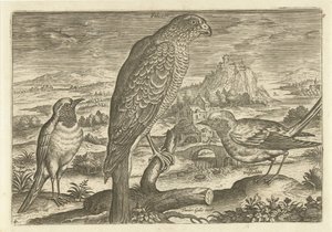 Some Birds in a Landscape by Adriaen Collaert