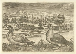 Several Birds in a Landscape by Adriaen Collaert
