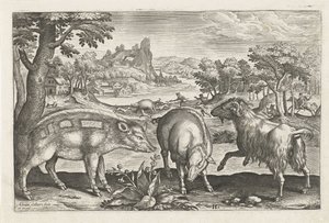 Goat and Pigs by Adriaen Collaert