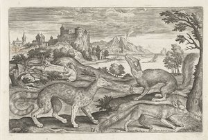 Martens, Squirrels, and a Fox (series title: Four-Legged Animals, Animalivm Qvaddrvpedvm) by Adriaen Collaert