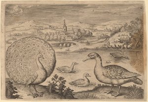 Peacock and Goose by Adriaen Collaert