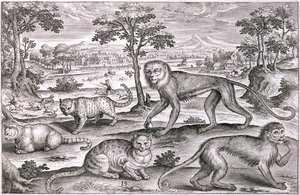 Three Cats and Two Monkeys by Adriaen Collaert