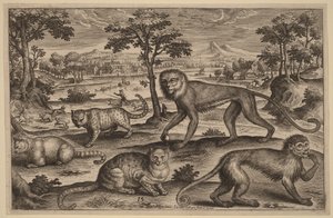 Three Cats and Two Monkeys by Adriaen Collaert