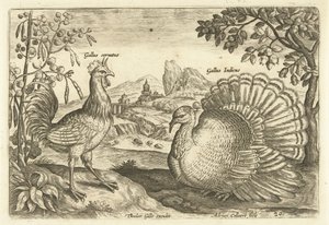 Two Chickens in a Landscape (Avivm Vivae) (Birds) by Adriaen Collaert