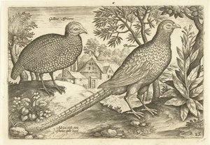 Two Chickens in a Landscape (Avivm Vivae series)