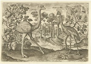 Two Ratites in a Landscape by Adriaen Collaert