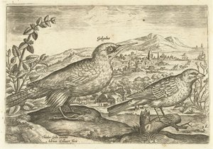 Two Birds in a Landscape by Adriaen Collaert
