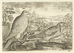 Two Birds in a Landscape