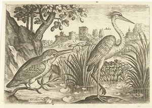 Two Birds in a Landscape (series title: Birds, Avivm Vivae) by Adriaen Collaert