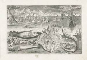 Four Fish on the Beach (series title) Piscivm vivae icones (series title) by Adriaen Collaert