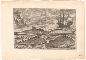 Four Fish on the Beach by Adriaen Collaert
