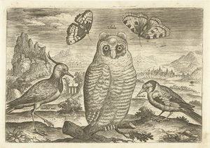 Birds and Butterflies in a Landscape by Adriaen Collaert