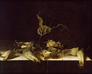 Still Life with Hazel-nuts, 1696 by Adrian Coorte