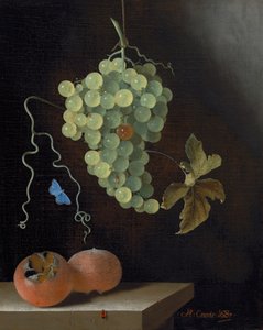Still Life with a Hanging Bunch of Grapes, Two Medlars, and a Butterfly by Adrian Coorte
