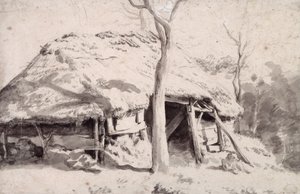 A Sheepfold in the Forest