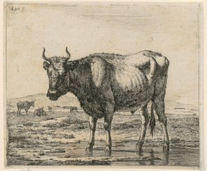 Bull Standing in Water, plate 6 from the series “Various Animals” by Adriaen van de Velde