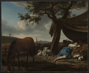 Sleeping Shepherds