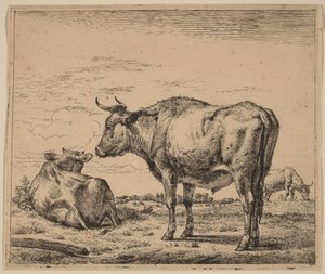 Standing Bull by Adriaen van de Velde