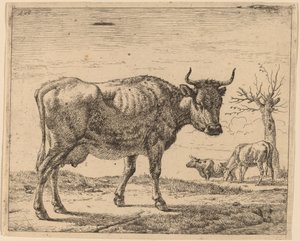 Three Cows