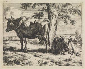 Two Cows under a Tree by Adriaen van de Velde
