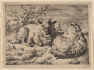 Two Recumbent Sheep by Adriaen van de Velde