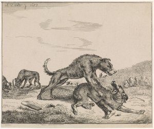 Fighting Dogs