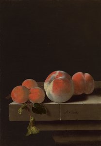 Peaches and Apricots on a Stone Ledge by Adrian Coorte