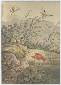 Piece of water with crab, butterflies, dragonflies and sea-buckthorn by Adrian Zingg
