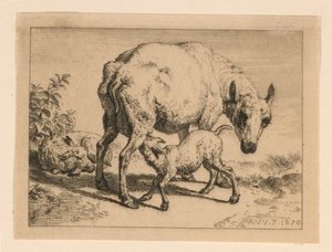 The Ewe by Adrian van de Velde