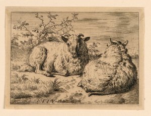 The Two Sheep by Adrian van de Velde