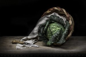 Rustic Cabbage Still Life by Adriana Vitale